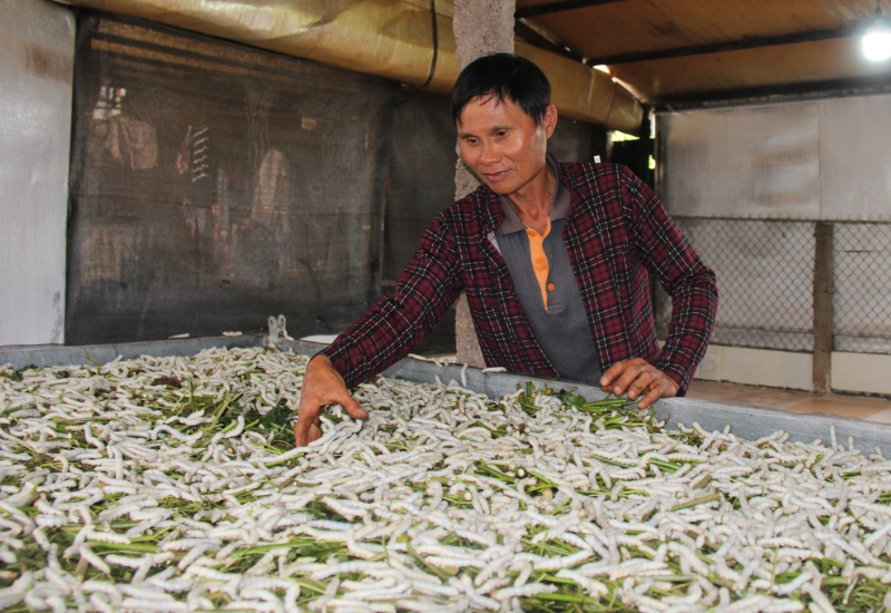 Trải nghiệm khi đến tham quan